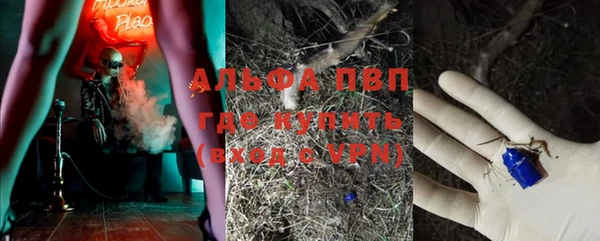 мяу мяу мука Абаза