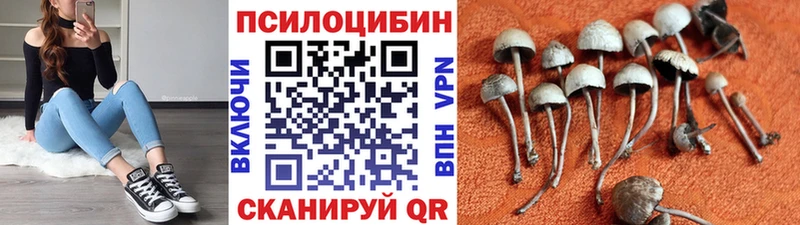 Псилоцибиновые грибы прущие грибы  Элиста 